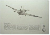 Morane Saulnier MS.406